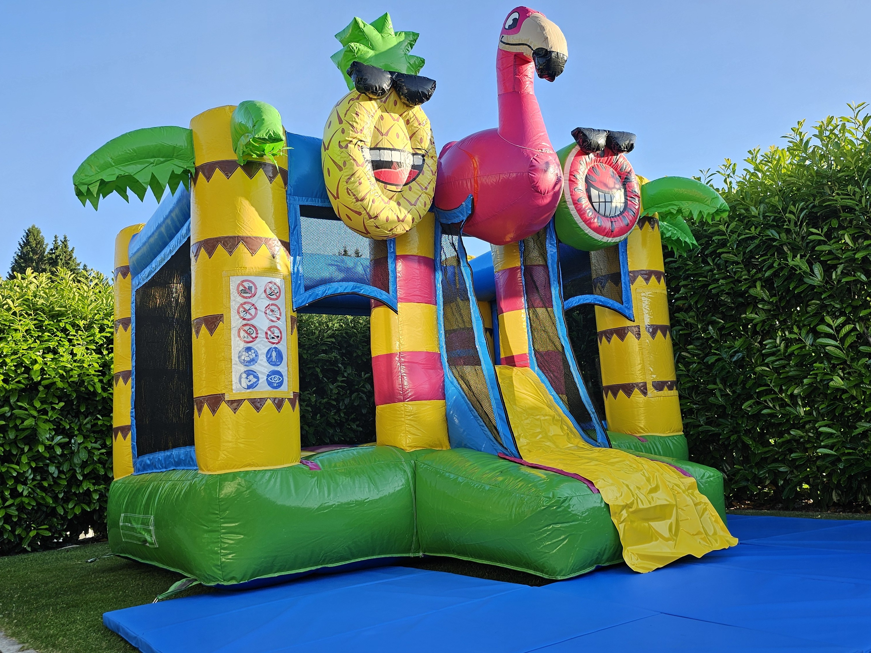 Hüpfburg Mini Bounce Flamingo 2